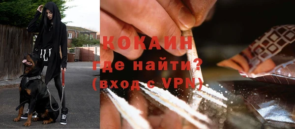 шишки Абдулино