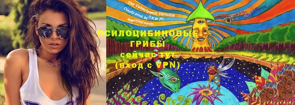 шишки Абдулино