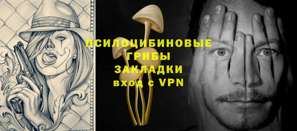 тгк Абаза