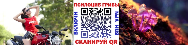 Псилоцибиновые грибы Psilocybine cubensis  Серафимович 